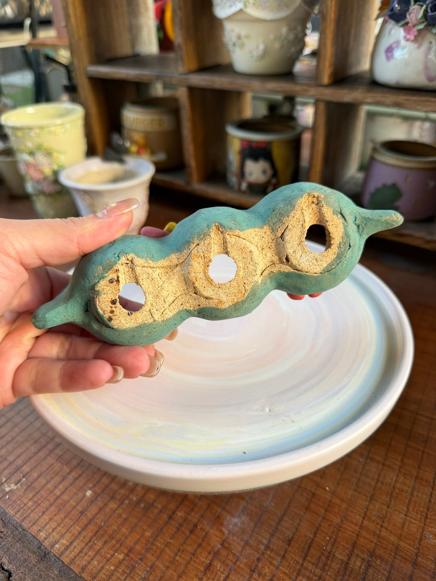 Peapot piggy planter