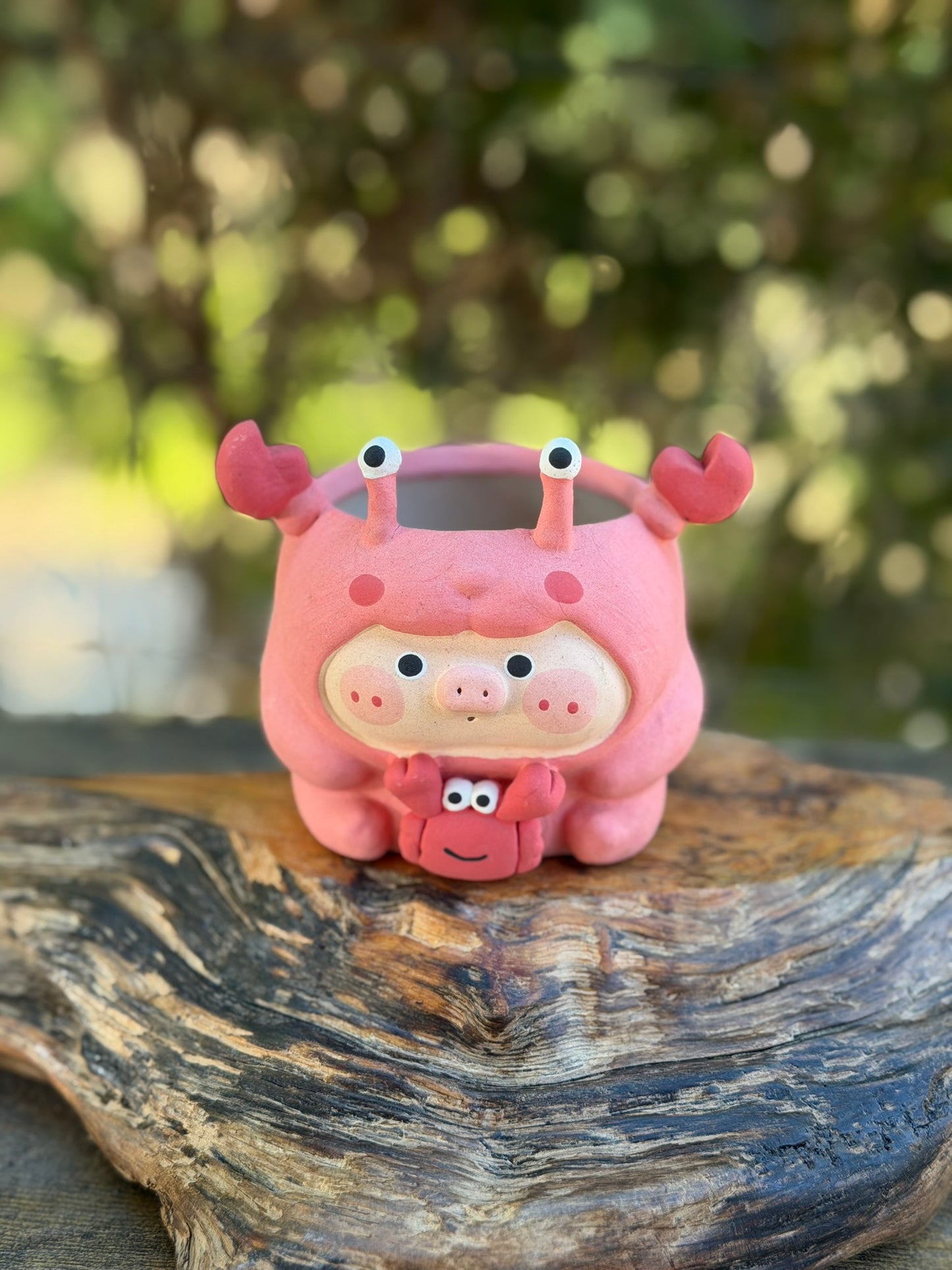 Piggy pot- Oh Crab