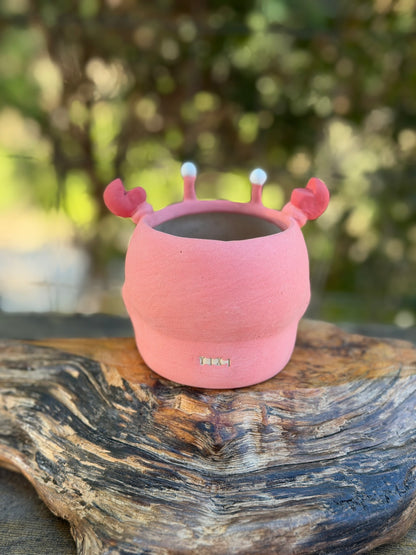 Piggy pot- Oh Crab