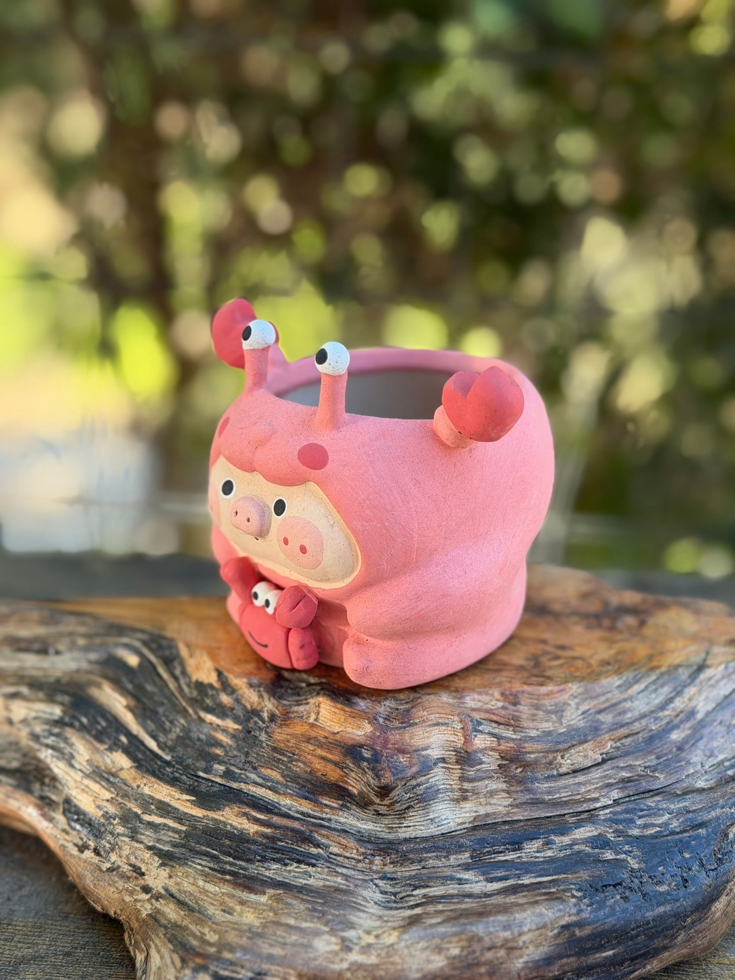 Piggy pot- Oh Crab