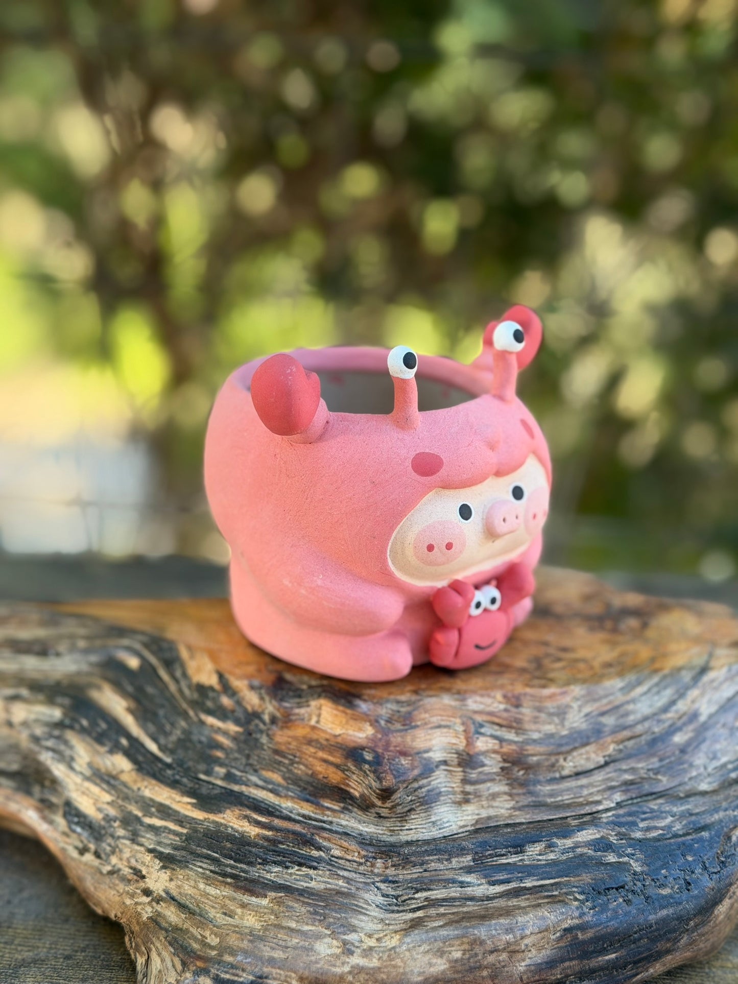 Piggy pot- Oh Crab