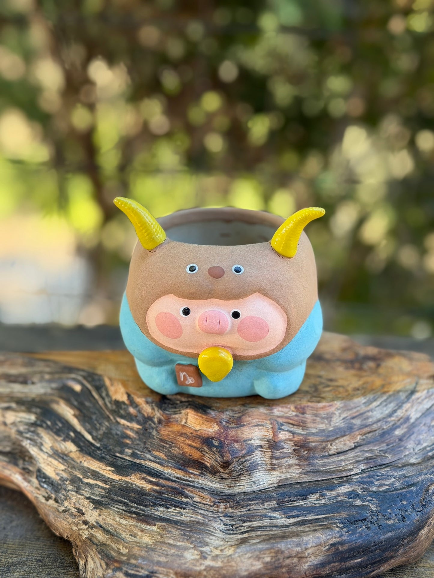 Piggy pot constellations series -Capricorn