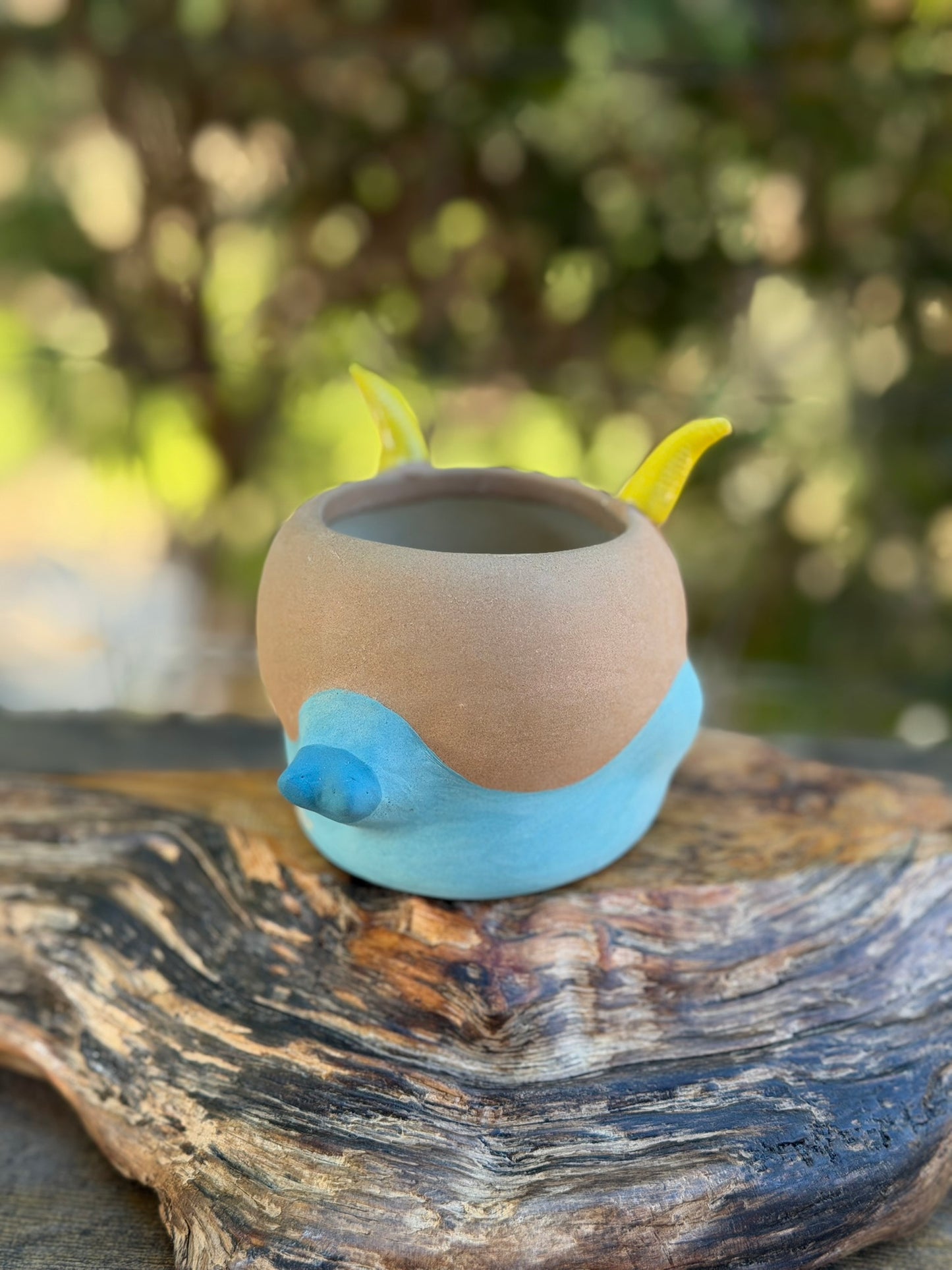Piggy pot constellations series -Capricorn