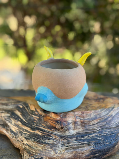 Piggy pot constellations series -Capricorn