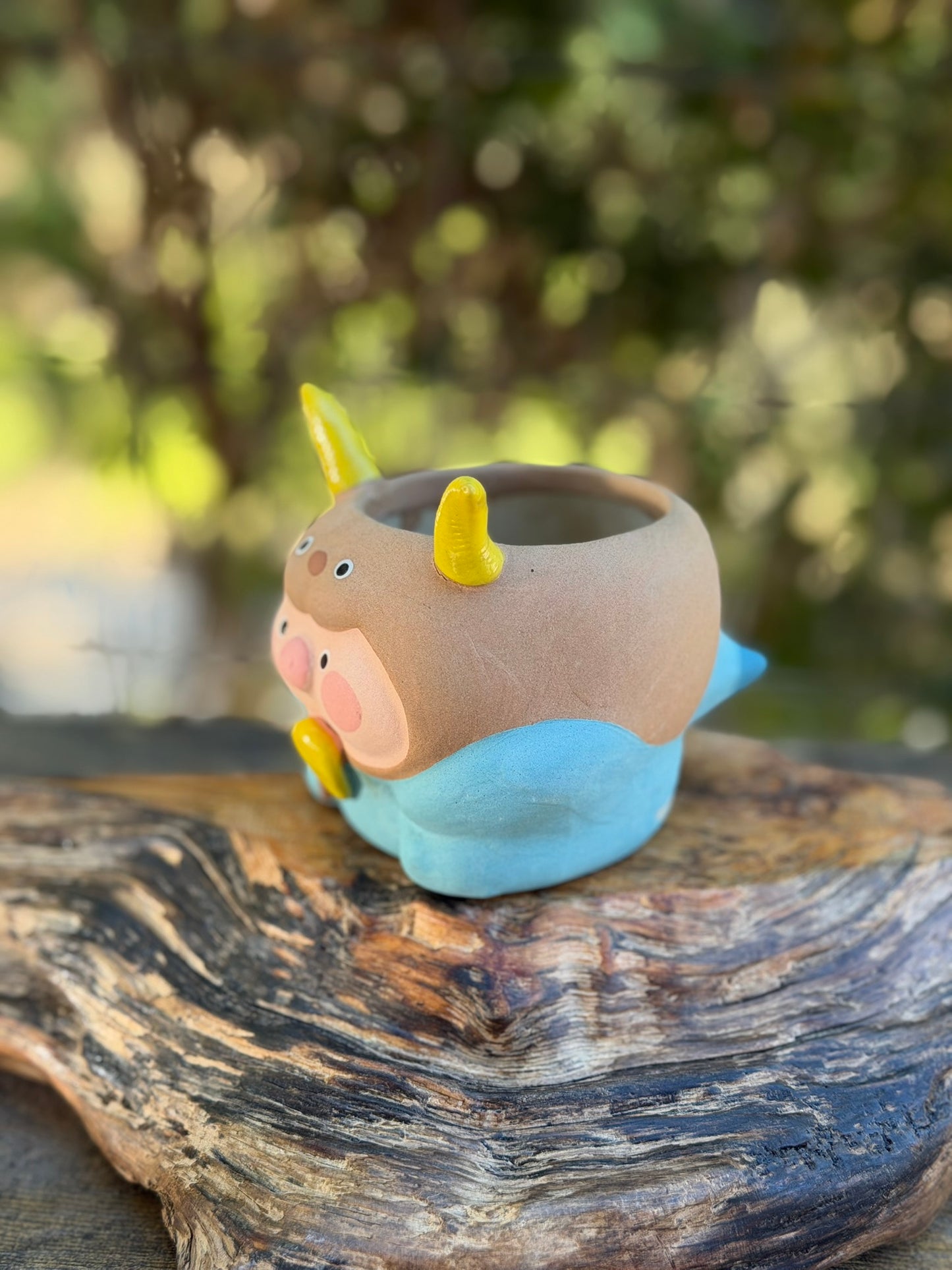 Piggy pot constellations series -Capricorn