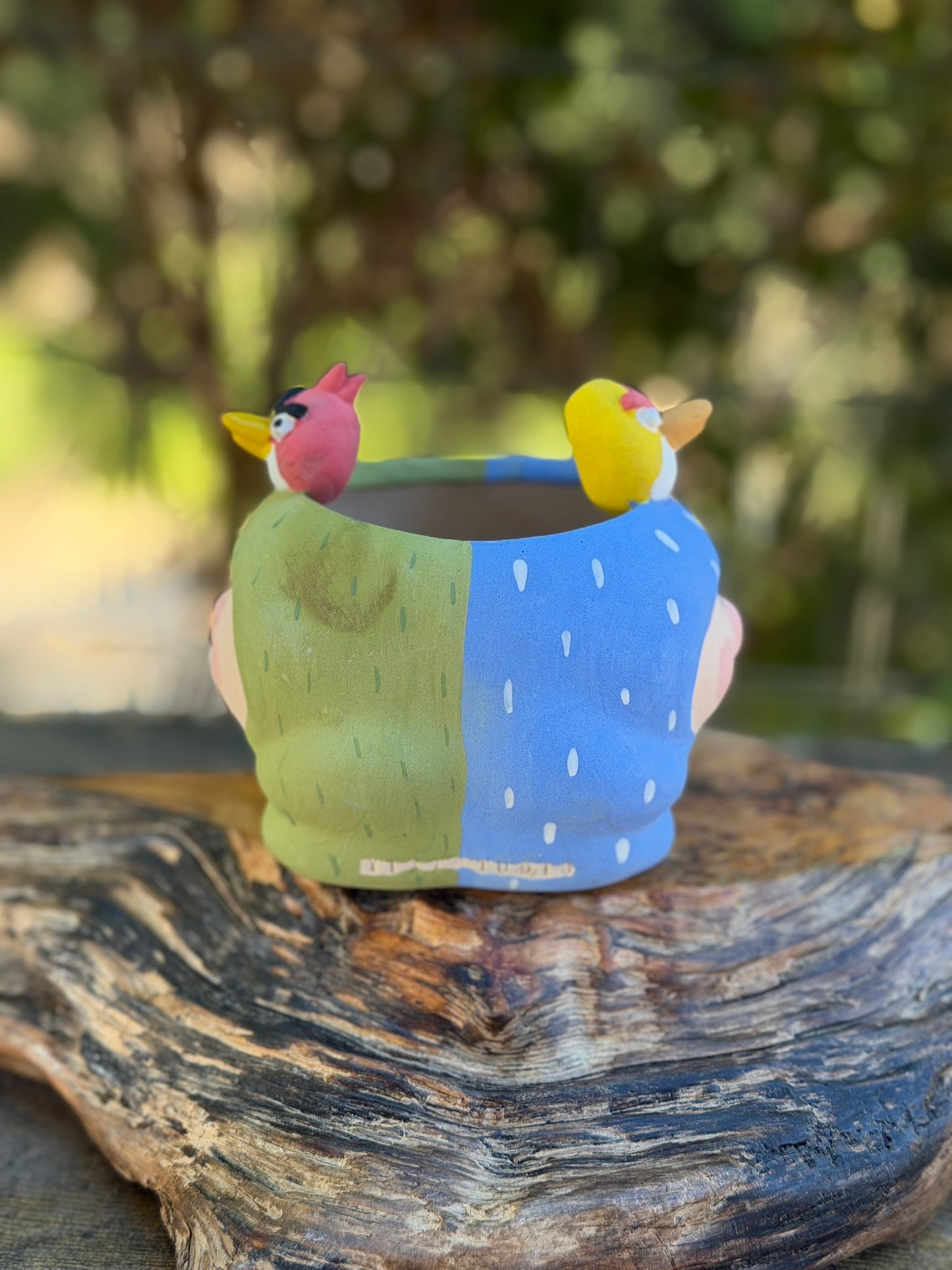 Two faced Piggy pot - Angry birds