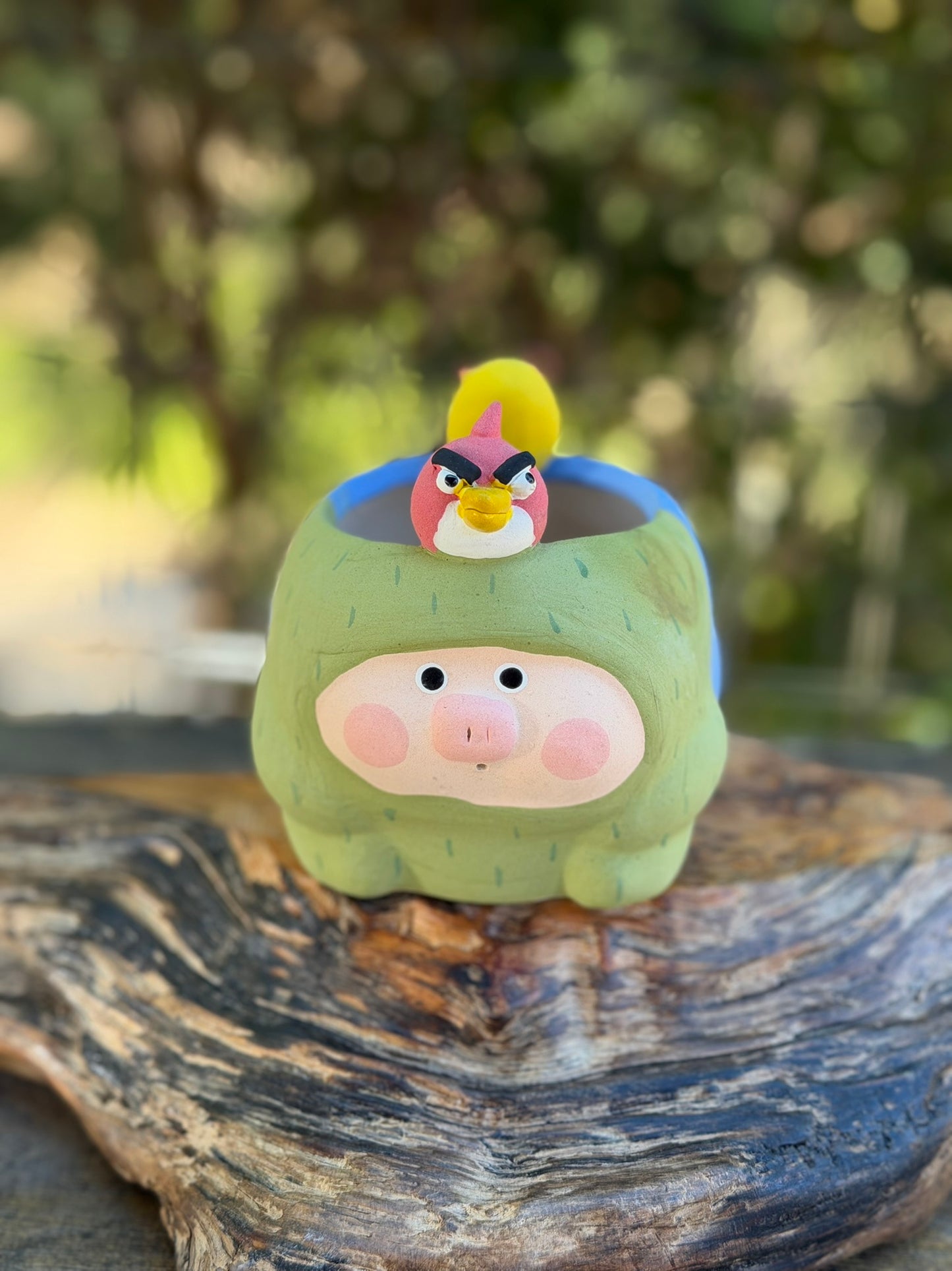 Two faced Piggy pot - Angry birds