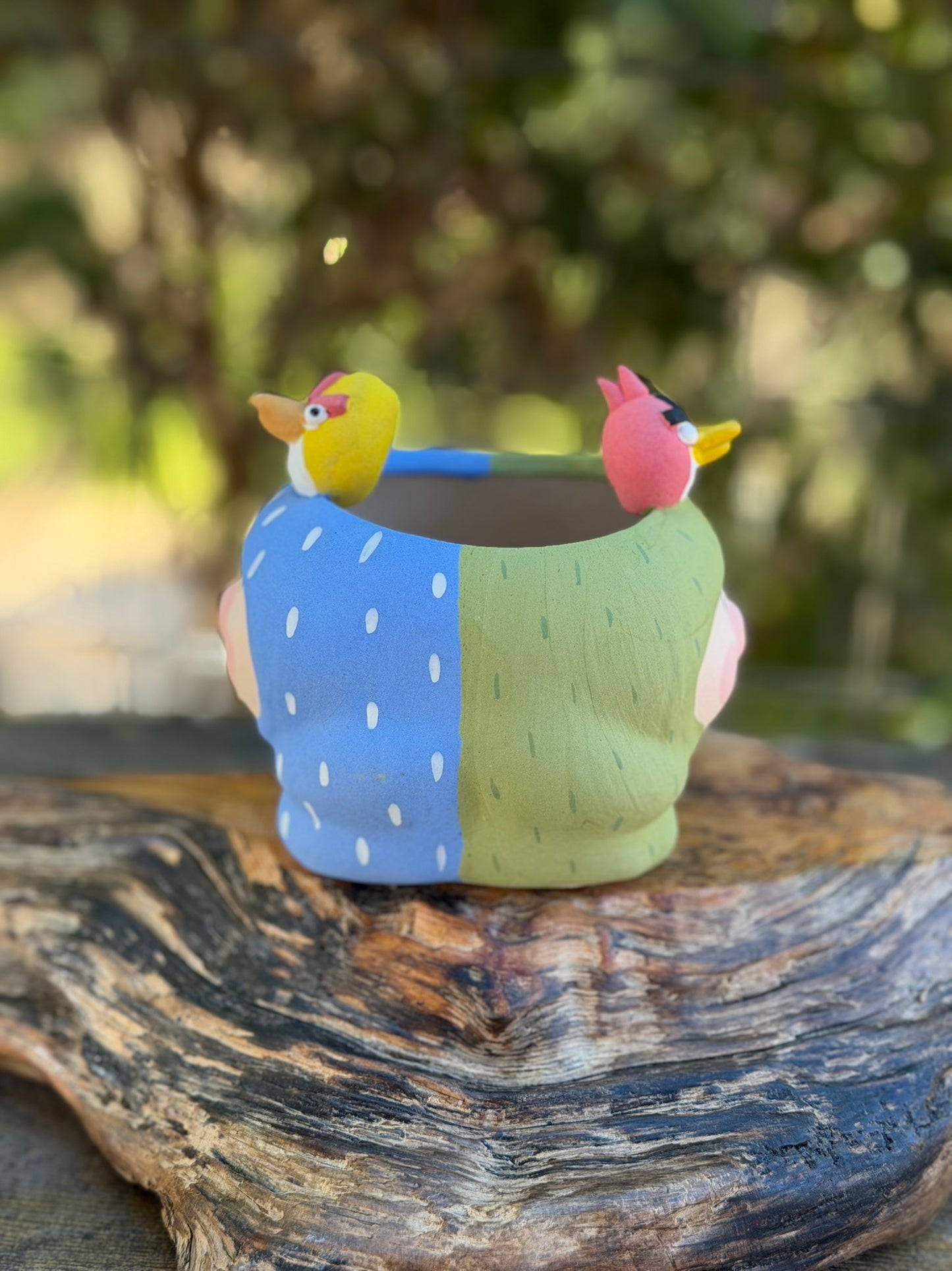 Two faced Piggy pot - Angry birds