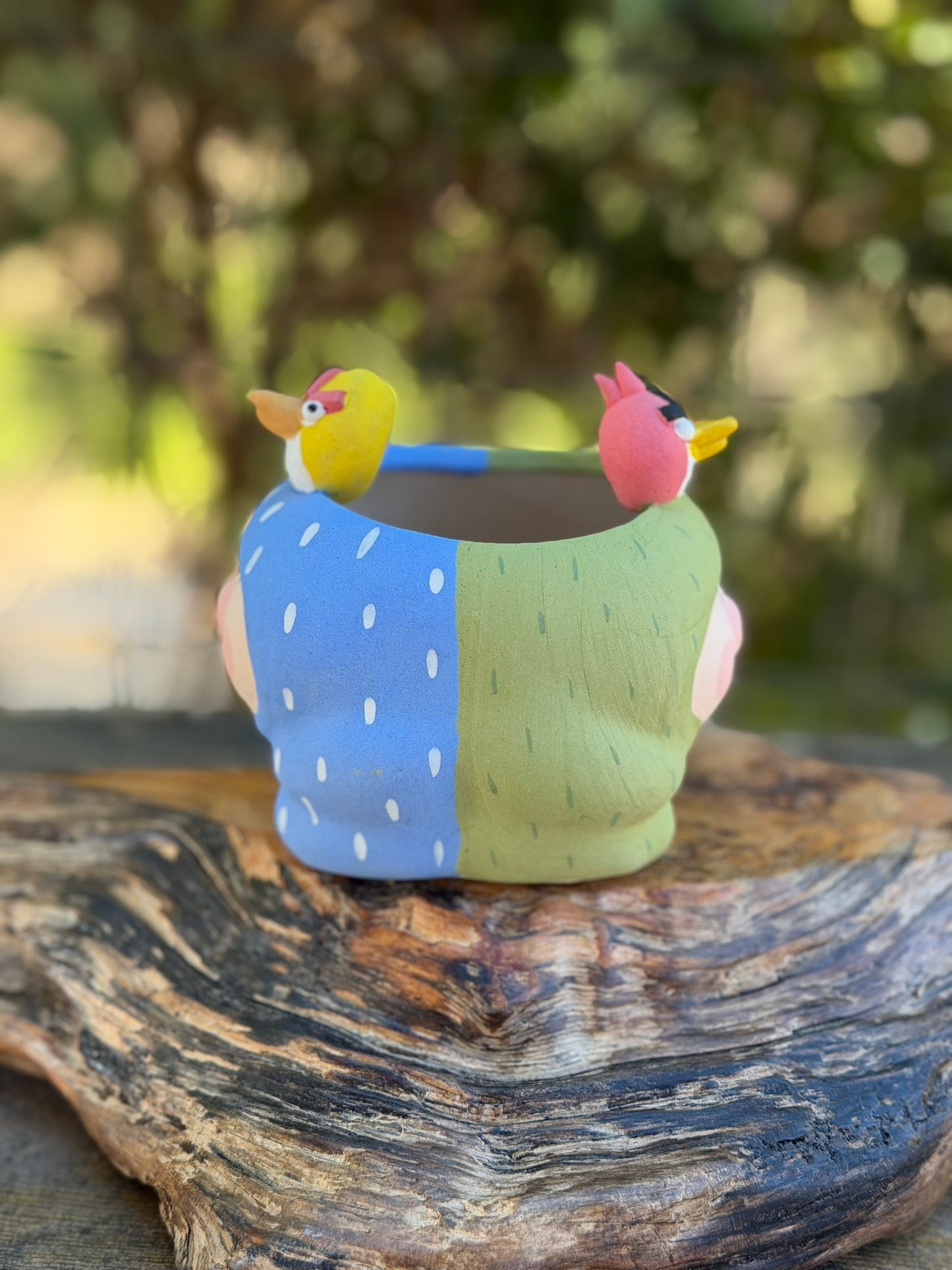Two faced Piggy pot - Angry birds