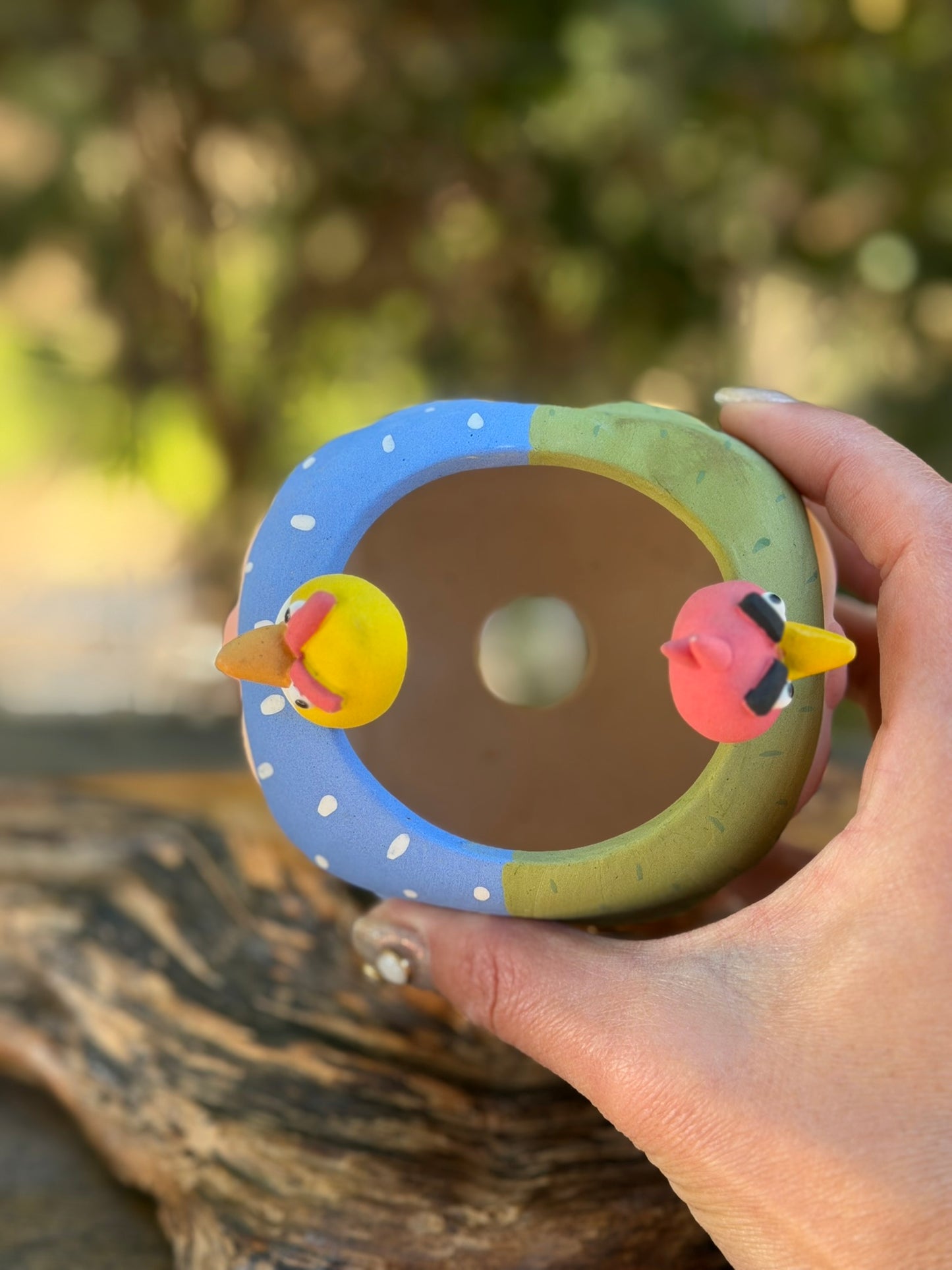 Two faced Piggy pot - Angry birds