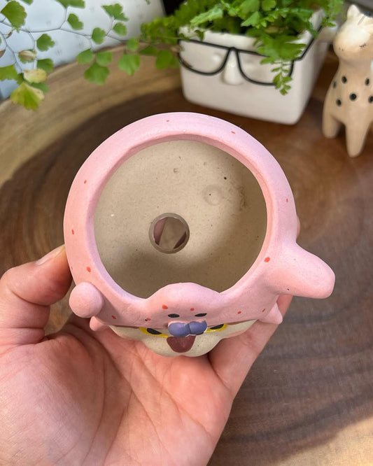 Patrick Star in Disguise- Cat Series Planter