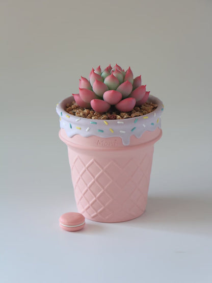Handmade Ice Cream Cone with Sprinkles succulent planter