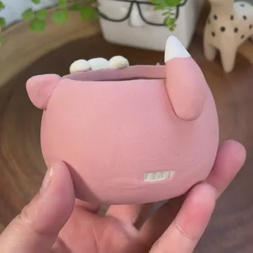 Pink Cat in Disguise- Cat Series Planter
