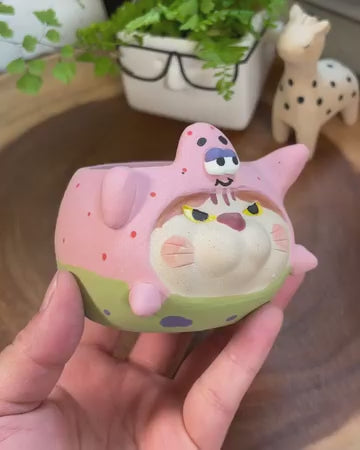 Patrick Star in Disguise- Cat Series Planter