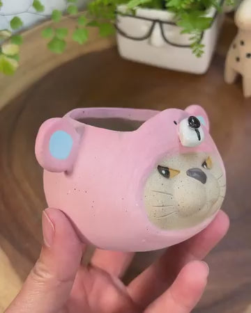 Pink Bear In Disguise- Cat Series Planter